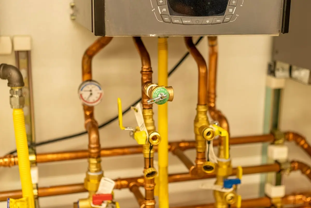 Licensed technician providing Sump Pump Repair for a homeowner in Lodi